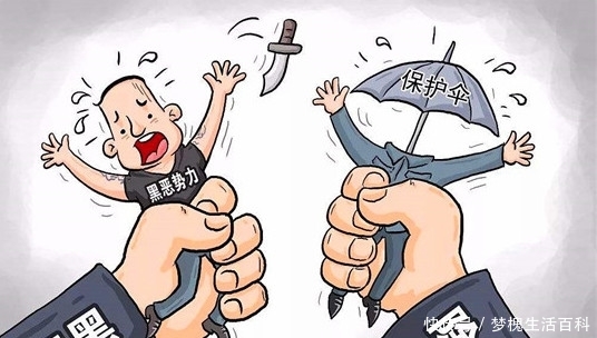  黑恶势力|农村“村霸”名单已公布，这7类人将是严查对象，农民