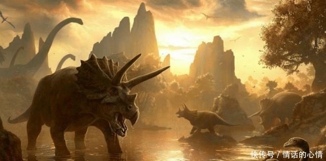 t01581ffa9e0b1d6f51.jpg?size=640x316