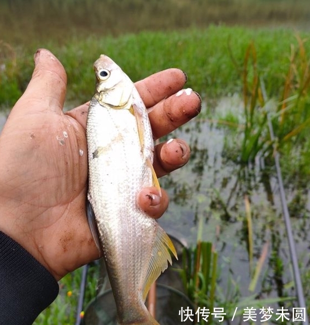 『钓友』钓鱼真的能穷三代?心态摆正,钓鱼真的是个低消费活动