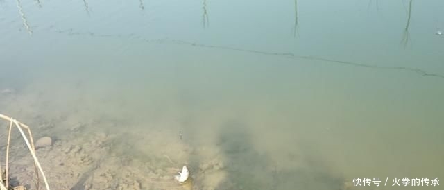  「远处的水」“方形奥诺河”早春钓鱼方法！