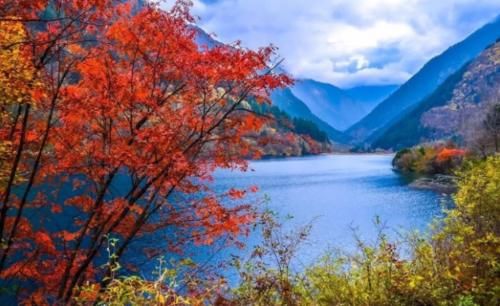 我国面积最大“枫叶景区”！比香山大180倍？是中国的阿尔卑斯！