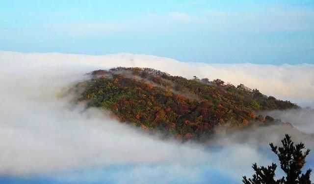 秦岭这条公路，秋天必驾，5处醉美之地值得看看