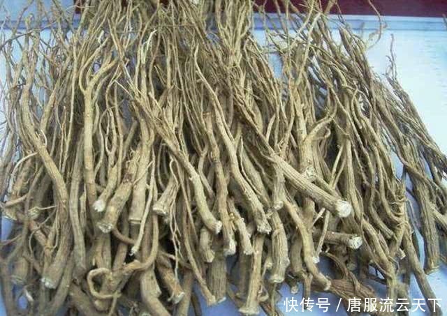  『值钱』1种植物在农地里，枝叶看着像“野草”，根茎却值钱，请珍惜它！