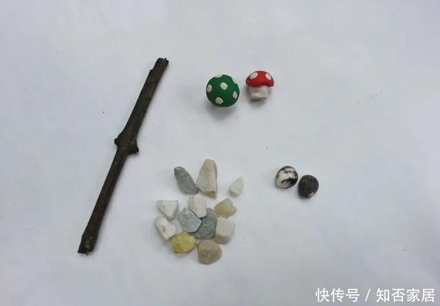 「装饰」在茶杯里建花园,美到惊艳!31万网友疯狂点赞