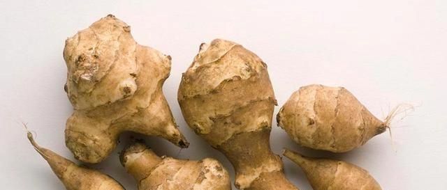 『奇葩』奇葩的入侵植物没人厌，开花是菊收获是姜，比姜不辣好吃百倍
