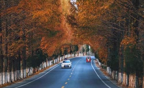 4城、2天、400台车、1000多名车友 “百城万车驾游安徽”揿动引擎