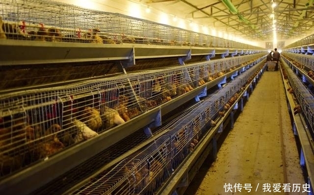  养殖户■未来五年的养殖发展方向