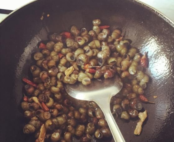  「好主意」种粮食不赚钱怎么办？农村养螺蛳是个好主意，高产螺