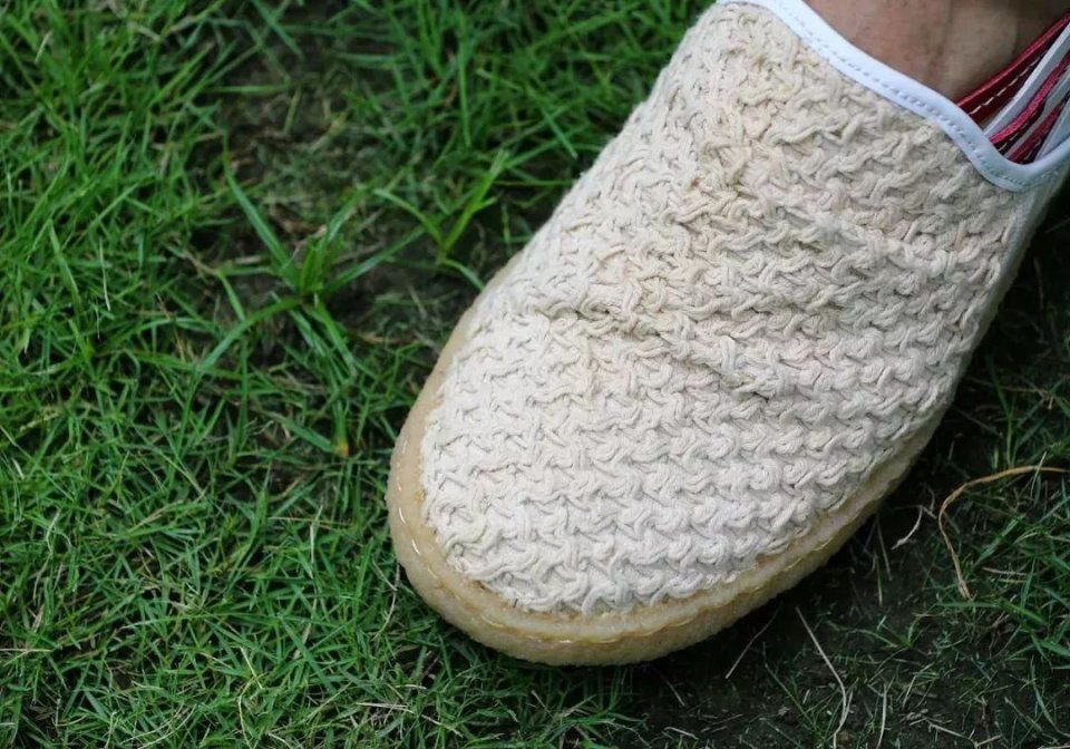 徒步沙漠99公里无恙?我许你一步一莲花，心静自然凉