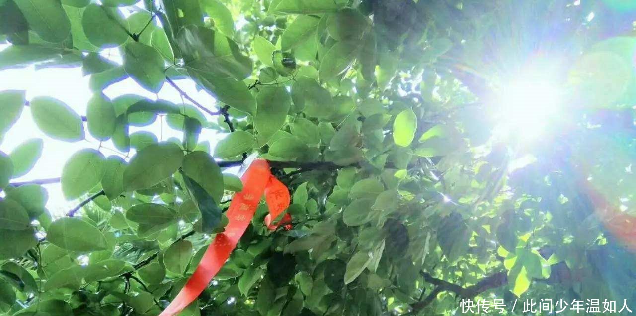 江苏唯一的市县同权被称为中国制造业第一县，是徐霞客故里