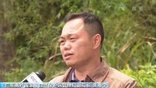  「自然保护区」广东首个珍稀濒危植物保育基地启动建设