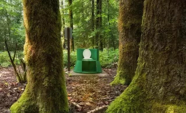 这些厕所太奇葩了！谁敢上啊！