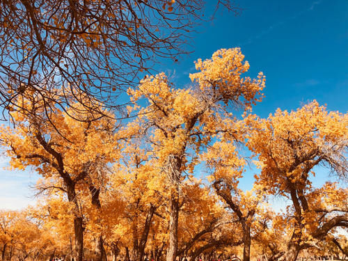  「安庆」安徽继合肥之后，又一座城市有望晋升二线，不是铜陵也