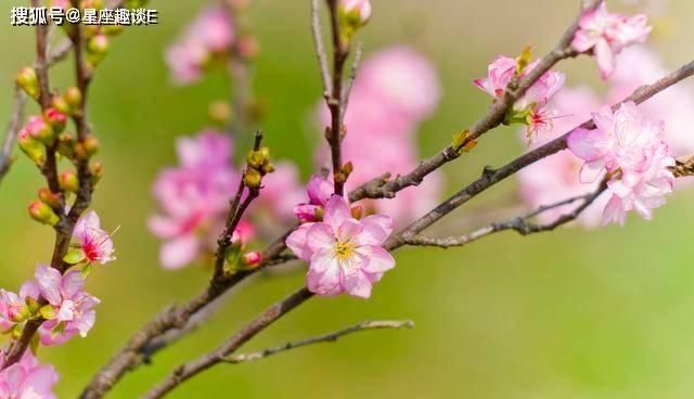  「巨蟹座」在4月下旬，念念不忘，旧情复燃，余情未了的三大星座