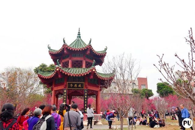 靓！佛山周边1500株樱花已盛开，最美的春天在这里~