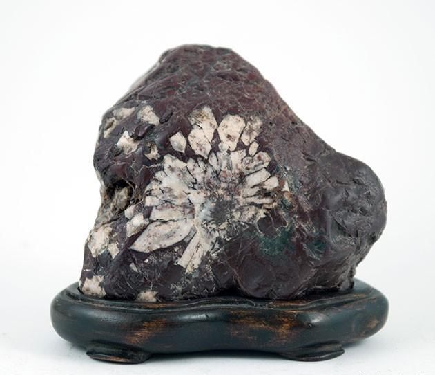 这些奇石来自世界各地，有没有国内的好看？