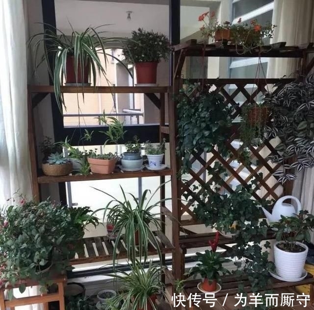  [人间天堂]在阳台搭一个花架, 造一处自己的人间天堂