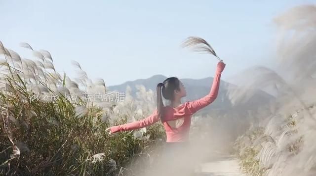 摄影点评，芦花林里的姑娘，穿着瑜伽服在拍照