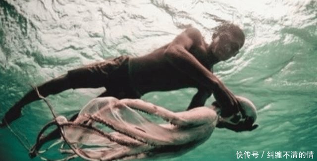 世界上唯一“活在海底”的民族, 海底行走自如, 上岸却会头晕