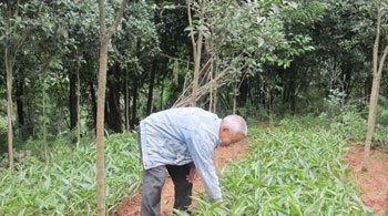 老农民在农村种植致富1年挣40万，2种方式赚大钱！