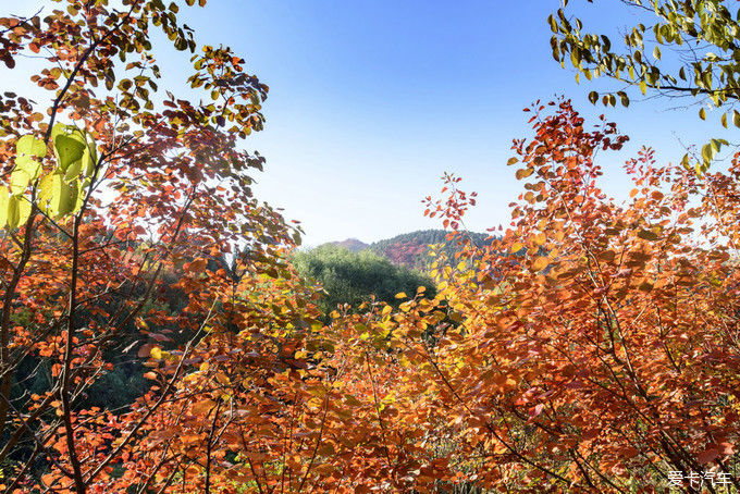 红遍万山的红叶谷【2020热门旅游景点】