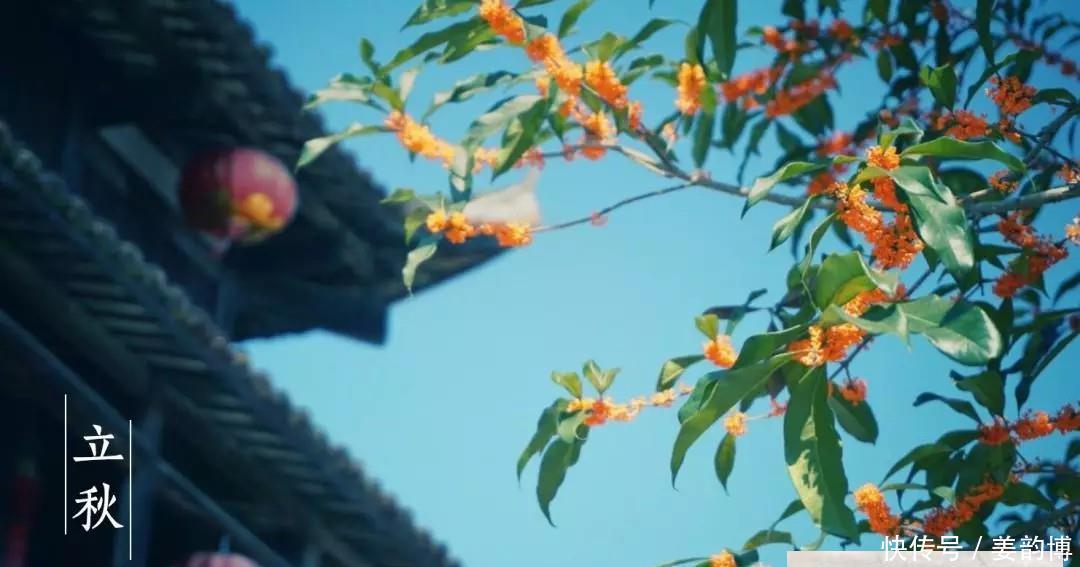 立秋诗词:云天收夏色,木叶动秋声