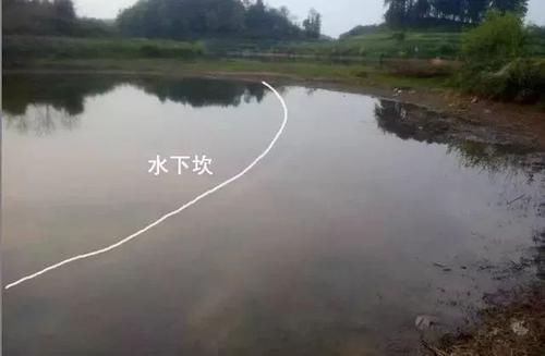  【钓友】野外钓鱼7大黄金钓位！别说老司机没带你，最后一种钓位专出巨物