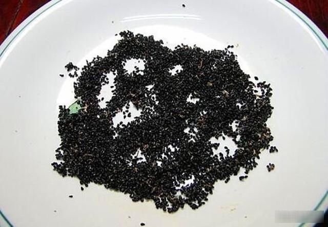 花盆中■好吃的火龙果,一块果肉,1周变别致盆栽,2年结果1大筐