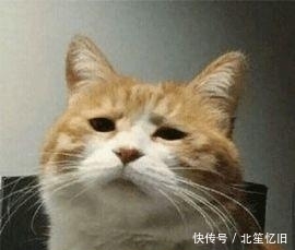  【台风】新一轮高温热浪来袭！未来十天内或有2-3个台风生成