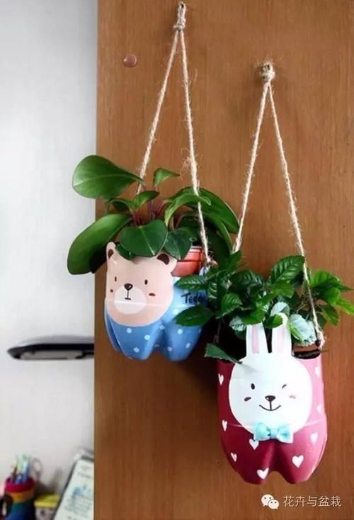  能力■塑料瓶的园艺小创意，考验动手能力的时候到了