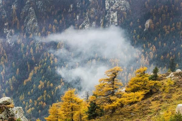 山西芦芽山进入秋色最佳观赏期 风景如画美煞人