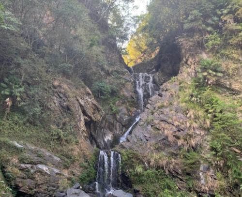 国内最适合“养老”的地方，80元一天还供吃住，游客：比景区都好