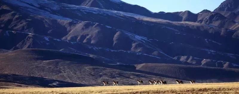 青海又一小众旅行地被发现，距茶卡盐湖仅1小时，低调得让人心疼