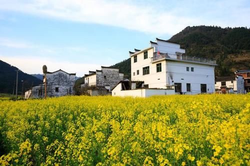  自建房@农村自建房两层半是什么概念？为什么要建两层半？听听老农咋说