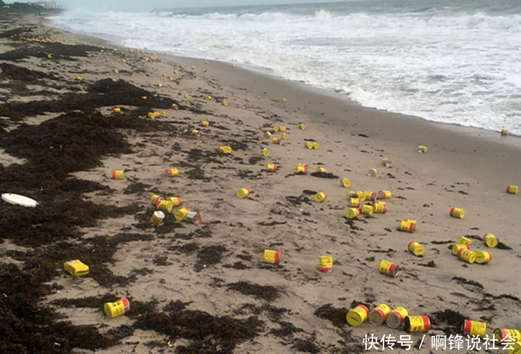 美国海边突然散落黄色罐头，看到里边的东西，居民抢疯了