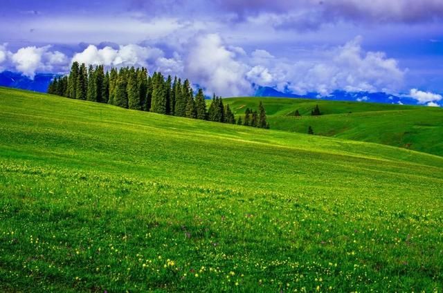 去了北疆才知道，中国有多大；去了南疆才知道，中国有多美