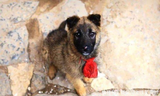 太行山深处的悬崖古寺，凿了近60年才完工，距今已有400多年