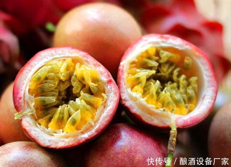 白酒酿造技术:百香果酒的酿制与功效