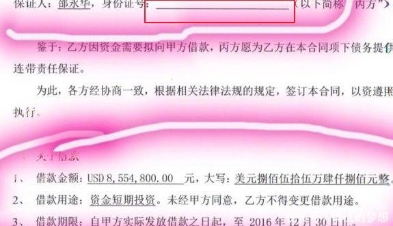 铲屎官要安排后事1个细节揭穿他的“谎言”，网友取消关注了