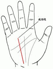 手相图解 手相成功线 太阳线 相法总论 雪花新闻
