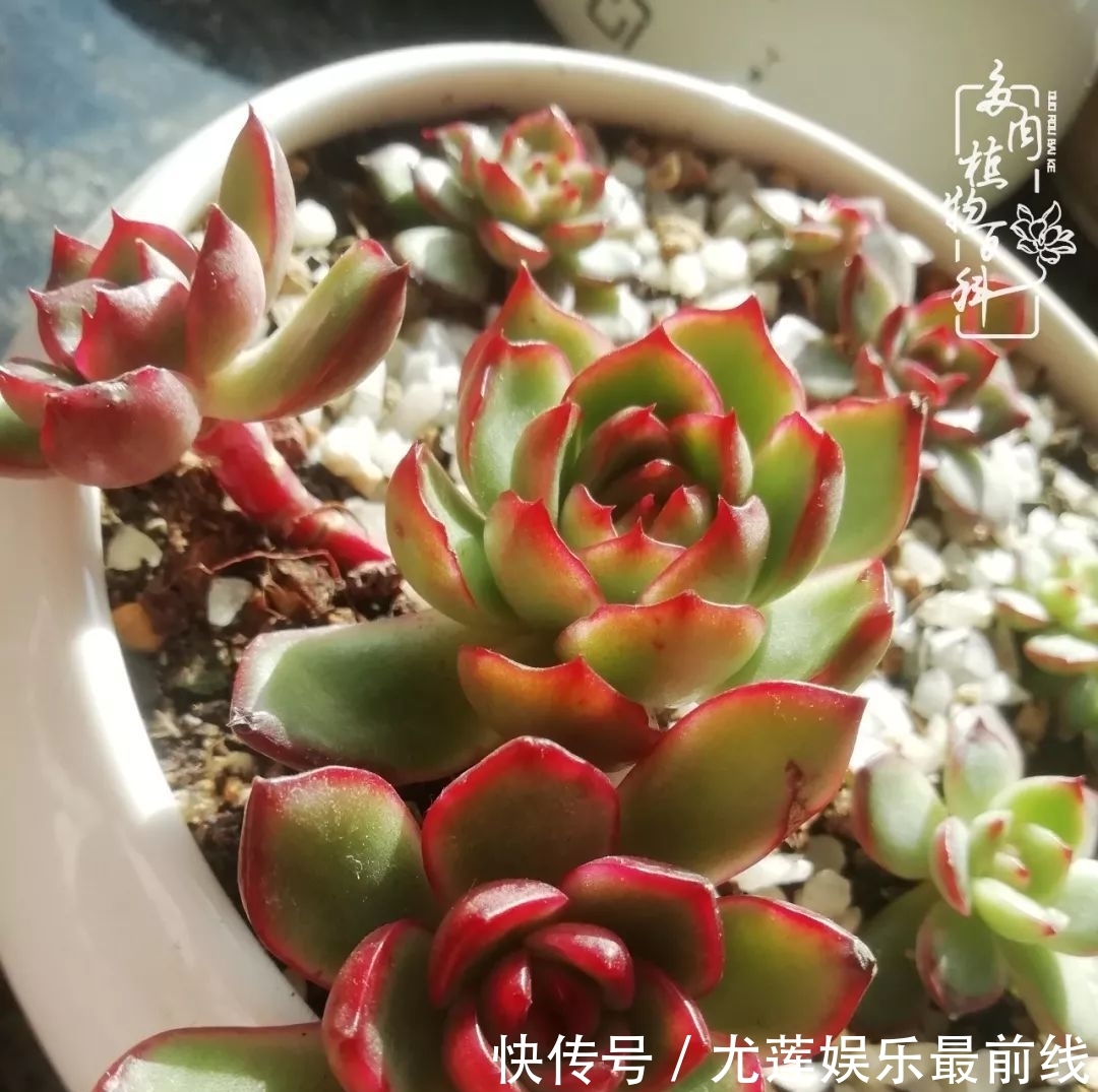 『那种』我爱的,就是你的存在!只要努力该来的都在路上!