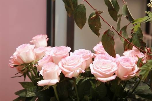 开启浪漫时光 love roseonly全球首家专卖店盛大开业