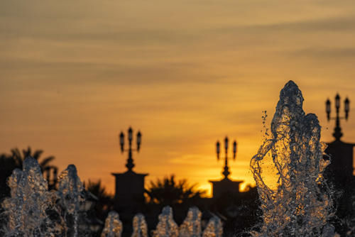 阿布扎比皇宫大酒店谁给认定的,你说八星级就是八星级?