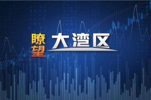  『菜篮子』深圳公布134个菜篮子基地名单