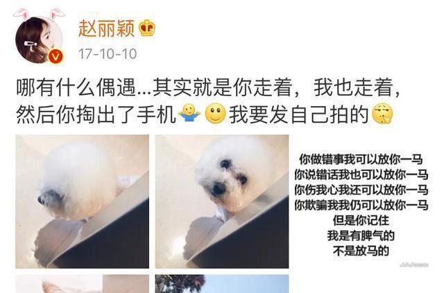 兔子急了也咬人! 赵丽颖为冯绍峰再次否认, 却在着手装修爱巢