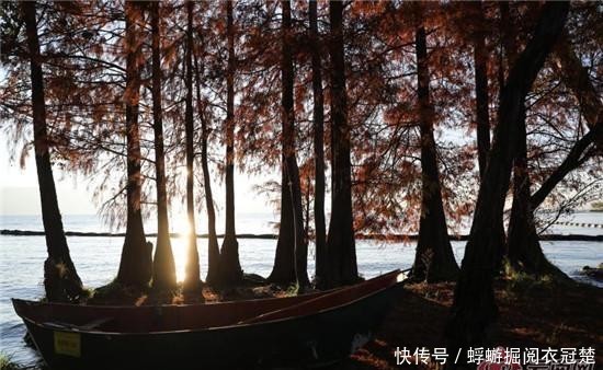 冬日的洱海,怎一个美字了得