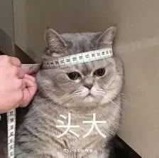 大雨+雷暴+大风！明起，河南将迎新一轮降雨...