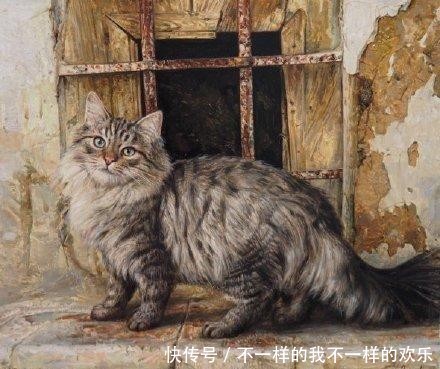 你站在窗外看风景,看风景的猫在窗外看你