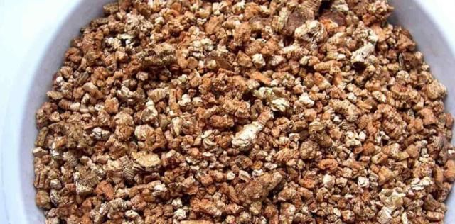  「种植」兰花根系怎么养？植料选择是关键，5种植料一篇看全