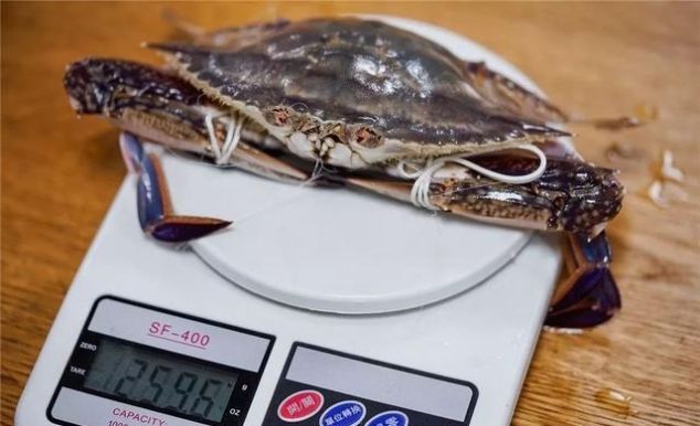 舟山码头直发,24h到货!等了3个月的月岙野生梭子蟹,一个字:鲜